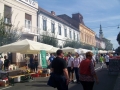 Bogračfest 2014