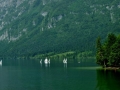 Bohinj3