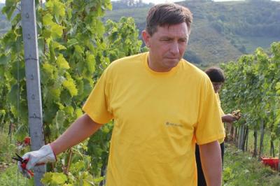 Borut Pahor med prleškimi vinogradi