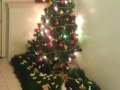 božično drevo 2009