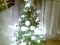 Božično drevo!