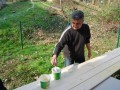 Čiščenje in urejanje čebelnjaka