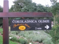 Čokoladnica