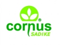 Cornus