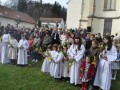 Cvetna nedelja v Ljutomeru