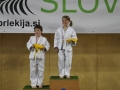 Dan juda v Prlekiji