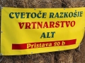 Dan odprtih vrat pri Vrtnarstvu Alt