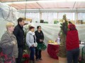 Delavnica o krašenju cerkva za advent in božič