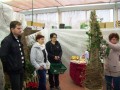 Delavnica o krašenju cerkva za advent in božič