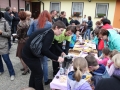 Dežela cvetočih sanj