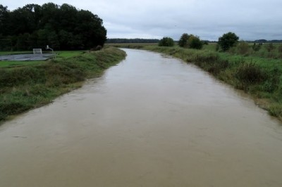 Ščavnica v Cezanjevcih