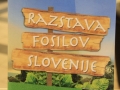 Razstava fosilov Slovenije