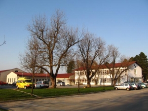 Zdravstveni dom Ljutomer