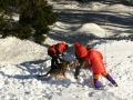 Prikaz organiziranega reševanja in iskanja z lavinskimi psi