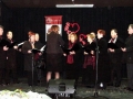 Dobrodelni koncert