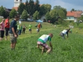 Državno tekmovanje koscev in kosic