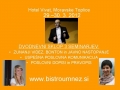 DVODNEVNI SKLOP 3 SEMINARJEV