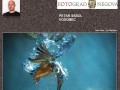 Fotografska razstava Petra Sabole Vodomec