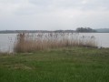 Gajševsko jezero