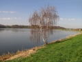 Gajševsko jezero
