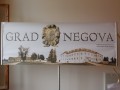 Grad Negova