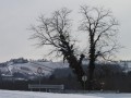 Gradnja podvoza na Sp. Kamenščaku