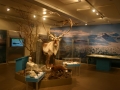Ledeniški muzej v Hofnu, saj se kraj nahaja tik pod največjim ledenikom Vatnajokull-om