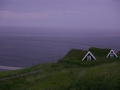 Skaftafell in tipične islandske hiške 