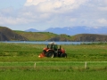 Islandija ima samo 6000 ha njiv, kjer pridelujejo predvsem repo in krompir
