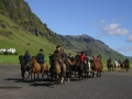 Islandske konje selektivno vzrejajo že tisoč let, nudijo pa udobno ježo čez drn in strn