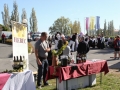 IV. Oktober VINOfest