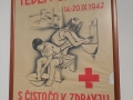 Iz zgodovine Rdečega križa Slovenije