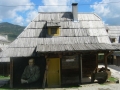 Izlet v Srbijo in Črno Goro