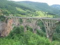 Most na Đurđeviča Tari