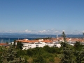 Izola