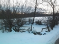 januar 2010, zamrznjena mlaka(ok.Ljutomer)