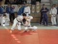 Judo tekmovanje v Ljutomeru