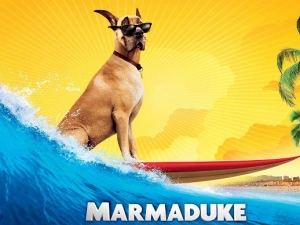 Marmaduke