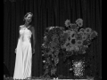 Koncert opernih arij, šansonov in popevk