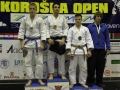 Koroška open 2013