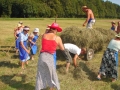 Košnja in sušenje trave v Žerovincih