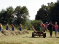 Košnja in sušenje trave v Žerovincih