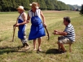 Košnja in sušenje trave v Žerovincih