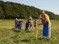 Košnja in sušenje trave v Žerovincih