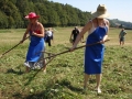 Košnja in sušenje trave v Žerovincih