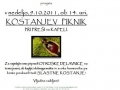 Kostanjev piknik
