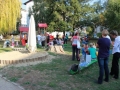 Kostanjev piknik