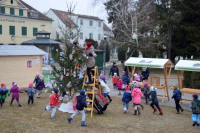 Krasitev smrečice v Radencih