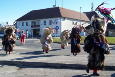 Kurenti v Veržeju