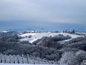 Pravljična lepota prleških vinogradov